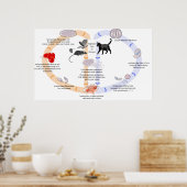 Diagramm des Lebenszyklus von Toxoplasma Gondii Poster (Küche)