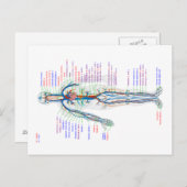 Diagramm des menschlichen Kreislaufsystems Postkarte (Vorne/Hinten)
