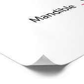 Diagramm des menschlichen Schädels bei Erwachsenen Poster (Ecke)