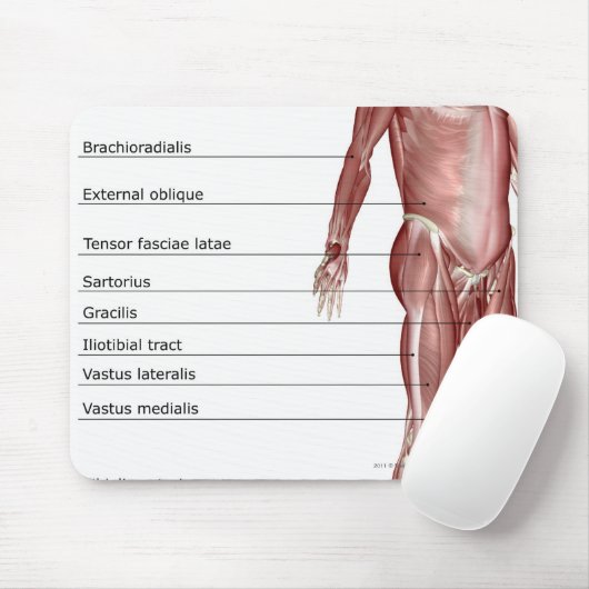 Diagramm des muskulösen Systems Mousepad (Mit Mouse)