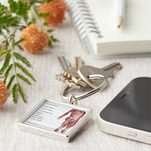 Diagramm des muskulösen Systems Schlüsselanhänger (Seite)