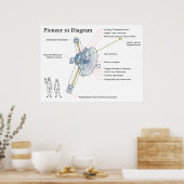 Diagramm des NASA-Weltraumsatelliten Pioneer 10 Poster (Küche)