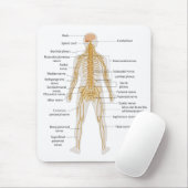 Diagramm des Nervensystems des menschlichen Mousepad (Mit Mouse)