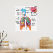 Diagramm des Respiratorischen Systems Poster (Küche)