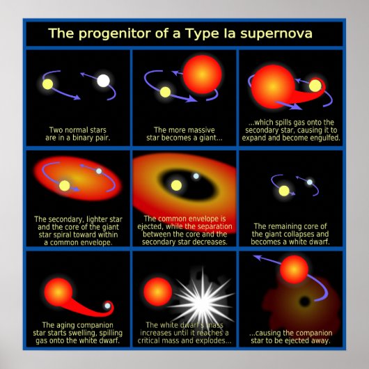 Diagramm des Vorfahren eines Typ-II-Supernovas Poster (Vorne)