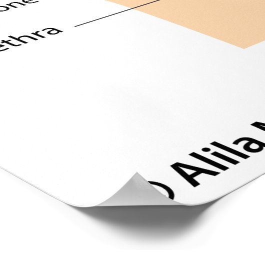 Diagramm des weiblichen Fortpflanzungssystems. Poster (Ecke)