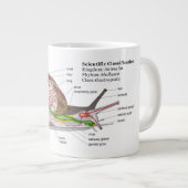 Diagramm einer allgemeinen Garten-Schnecke Jumbo-Tasse (Vorderseite Rechts)