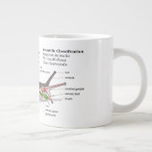 Diagramm einer allgemeinen Garten-Schnecke Jumbo-Tasse (Rechts)