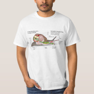 Diagramm einer allgemeinen Garten-Schnecke T-Shirt