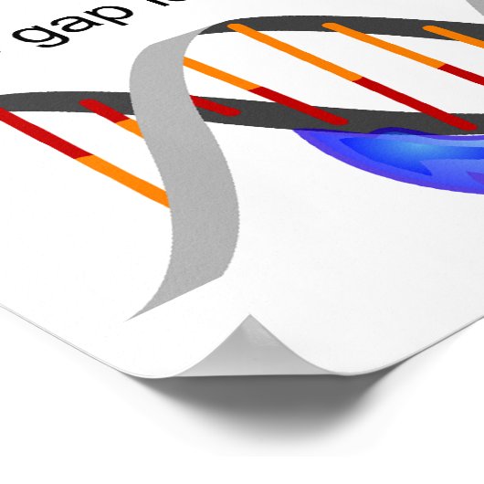 Diagramm einer einfachen DNA-Base-Exzision-Reparat Poster (Ecke)