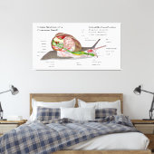 Diagramm einer Schnecke aus einem gemeinsamen Gart Leinwanddruck (Insitu (Schlafzimmer))
