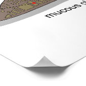 Diagramm einer Schnecke Helix Aspersa Mollusk Poster (Ecke)