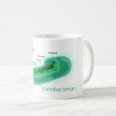Diagramm einer typischen Cyanobacteria-Zelle Kaffeetasse (VorderseiteRechts)