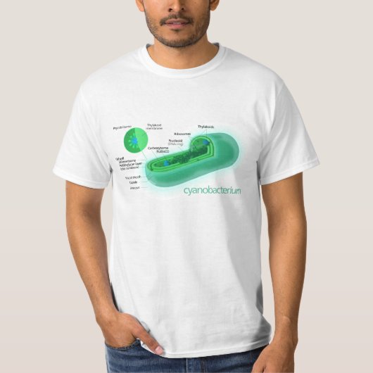 Diagramm einer typischen Cyanobacteria-Zelle T-Shirt (Vorderseite)
