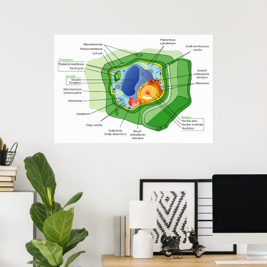 Diagramm einer typischen Zellstruktur einer Pflanz Poster (Heimbüro)