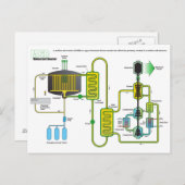 Diagramm eines Nuklearen Spaltreaktors aus geschmo Postkarte (Vorne/Hinten)