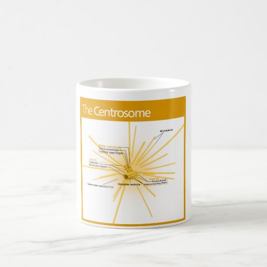 Diagramm eines Zentrosom Kaffeetasse (Mittel)