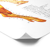 Diagramm für die Anatomie des Brustmuskels und der Poster (Ecke)