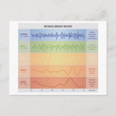 Diagramm für menschliche Gehirnwellen Entwurf Rege Ankündigungspostkarte (Vorderseite)