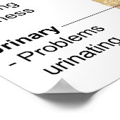 Diagramm Gemeinsame Anzeichen + Symptome Fibromyal Poster (Ecke)