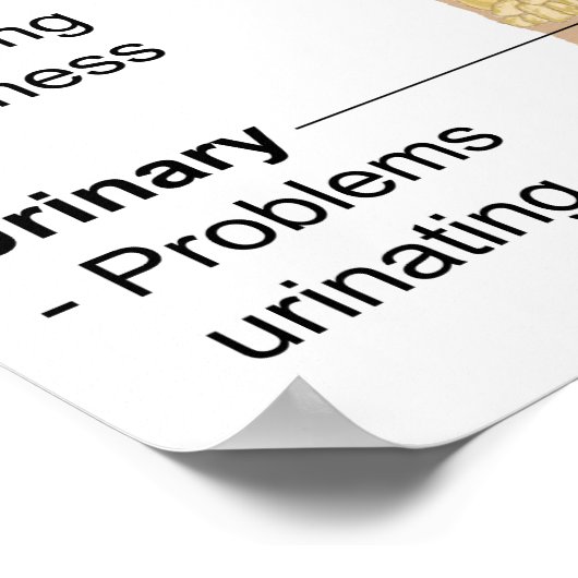 Diagramm Gemeinsame Anzeichen + Symptome Fibromyal Poster (Ecke)