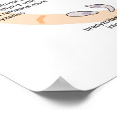 Diagramm Lebenszyklus von Toxoplasma gondii Poster (Ecke)