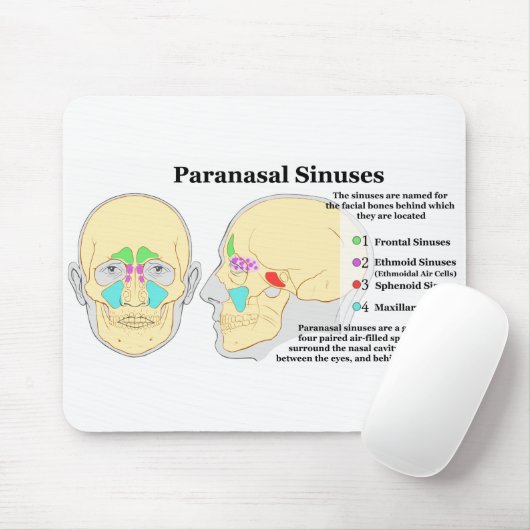 Diagramm menschlicher Paranasal Kurven Mousepad (Mit Mouse)