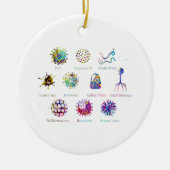 Diagramm mit verschiedenen Viren Keramik Ornament (Vorne)