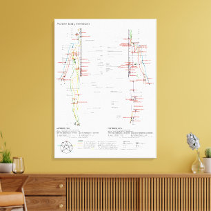 Diagramm Schema chinesische Meridiane menschlicher Leinwanddruck