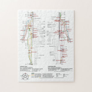 Diagramm Schema chinesische Meridiane menschlicher Puzzle