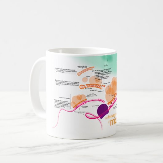 Diagramm von microRNA Kaffeetasse (Vorderseite Links)