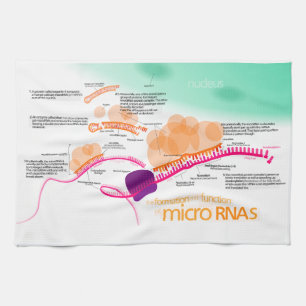 Diagramm von microRNA Küchentuch