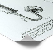 Diagramme der Glühlampen und ihre Klammern Poster (Ecke)