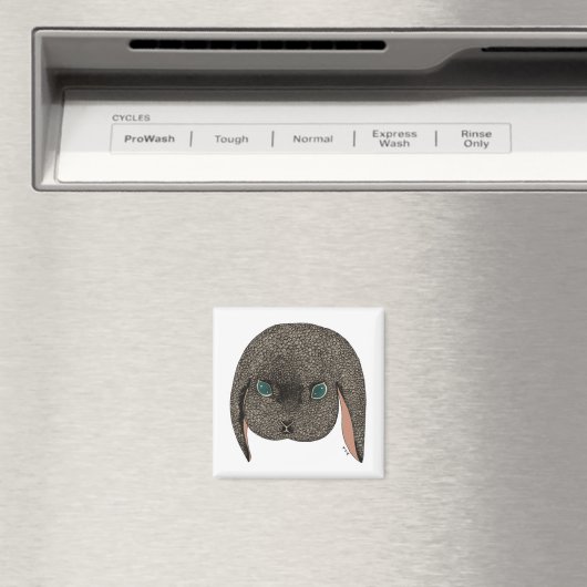 Diamant 2012 magnet (In Situ (Geschirrspüler))