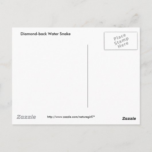 Diamant-back-Wassernake auf Log Postkarte (Rückseite)