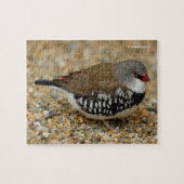 Diamant Firetail Finde Puzzle (Horizontal)
