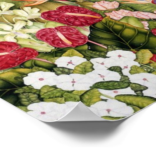 Diamant Head Poster (Ecke)