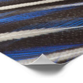 Diamant-Perlhuhn-Federdesign Poster (Ecke)