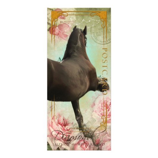 DIAMANT - Rackcard 3/Postkarte Werbekarte (Vorne)