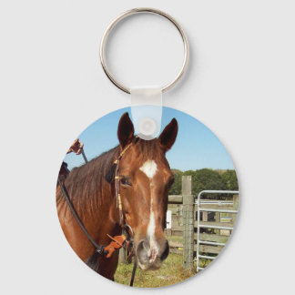 Diamant Schlüsselanhänger