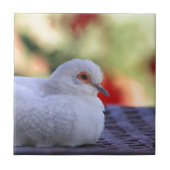 Diamant-Taubenvogelfliese Fliese (Vorderseite)