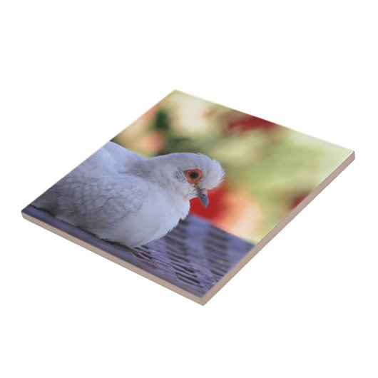 Diamant-Taubenvogelfliese Fliese (Seite)