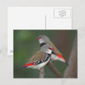 DiamantFingen Postkarte (Vorne/Hinten)