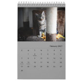Diamantmarinefelder! Kalender (Feb 2027)