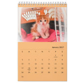 Diamantmarinefelder! Kalender (Jan 2027)