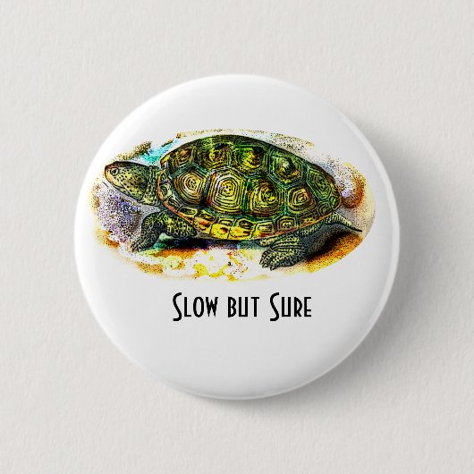 Diamantmarkierung Dosenschildkröte-Schildkröte von Button (Vorderseite)