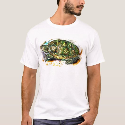 Diamantmarkierung Dosenschildkröte-Schildkröte von T-Shirt (Vorderseite)