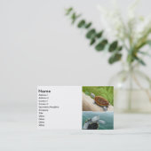 Diamantmarkierungs-Dosenschildkröte-Visitenkarte Visitenkarte (Stehend Vorderseite)