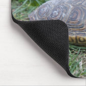 Diamantmarkierungsdosenschildkröte-Schildkröte Mousepad (Ecke)