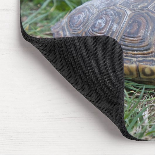Diamantmarkierungsdosenschildkröte-Schildkröte Mousepad (Ecke)